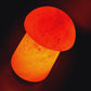 Himalayan salt lamp - mushroom