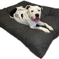 Dog bed, 10 cm high, extremely comfortable for small, medium and large dogs